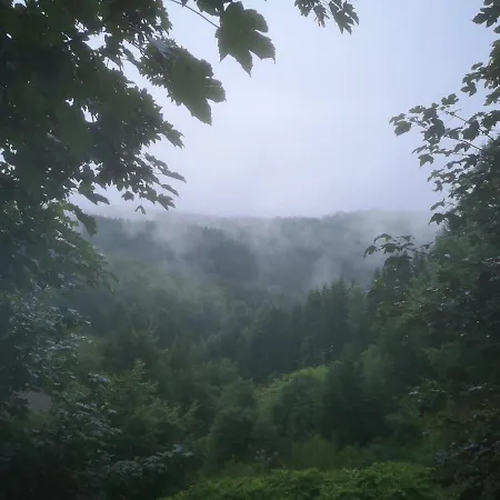 Dorfschule Mollseifen 公寓 *