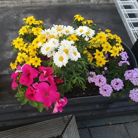 Dorfschule Mollseifen