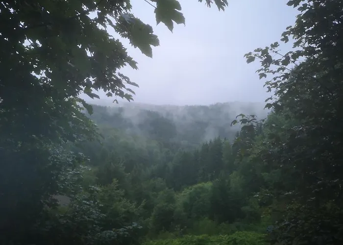 Dorfschule Mollseifen Apartamento *